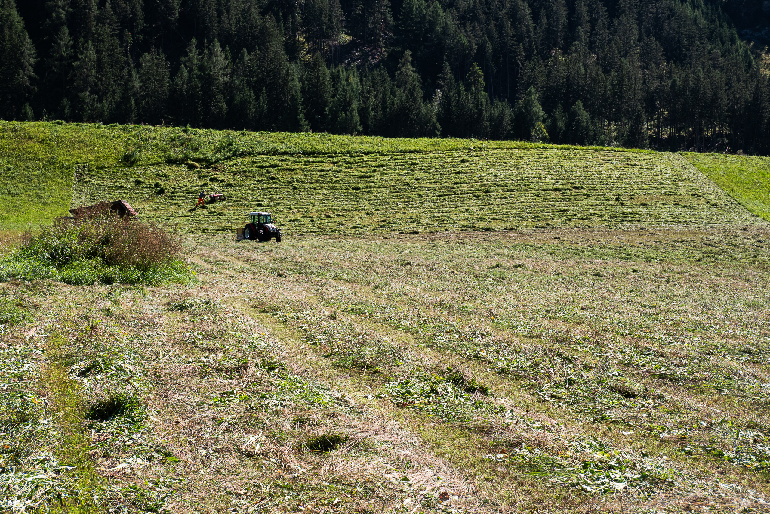 Heuernte am Berghang – Traktor und Schwader in Reihen